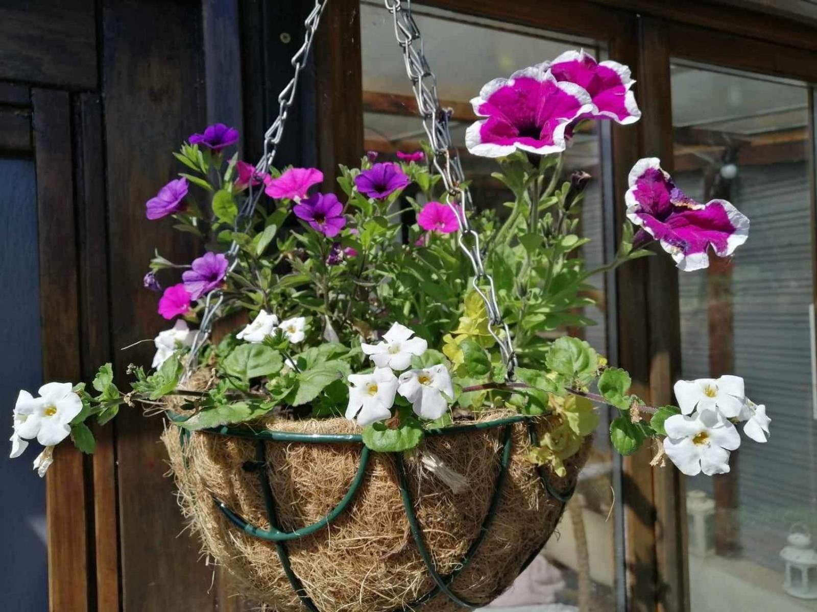 Normand Holiday Home - Vire Calvados Relaxing Rural Retreat Le Reculey Ngoại thất bức ảnh